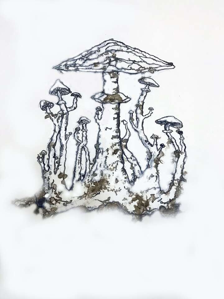 Elena Elagina. Artwork Mushroom