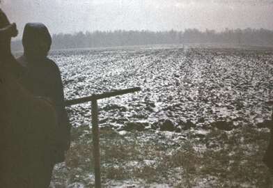 Акция КД Ворот. Фотография - 18