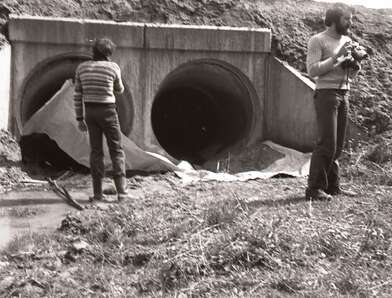 Акция КД Встреча. Фотография - 68