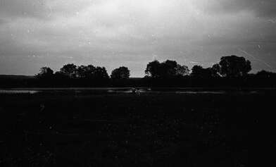 Collective action Second Picture. Photo - 26