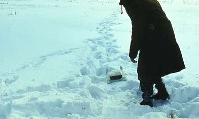 Collective action Sound Perspectives. Photo - 34