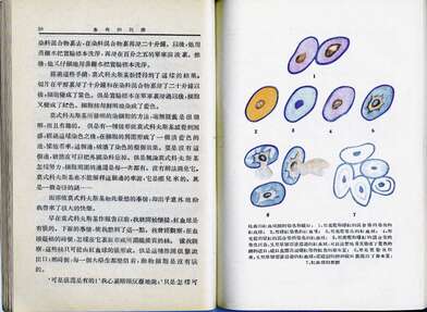«Лаборатория великого делания». Фотография - 4