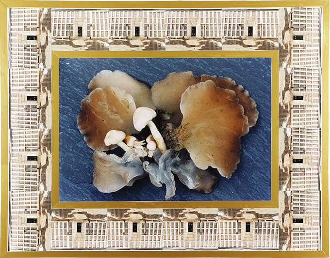 Игорь Макаревич, Елена Елагина. Таблицы «Пагана»