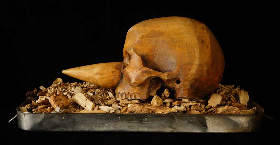 Igor Makarevich. Artwork Buratino’s Skull