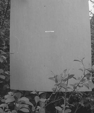 Collective action To V. Nekrasov. Photo - 27