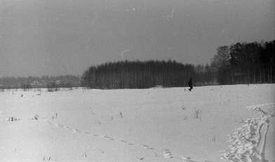 Collective action Observing the Waterfall. Photo - 19