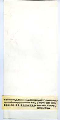 Collective action Observing the Waterfall. Photo - 82