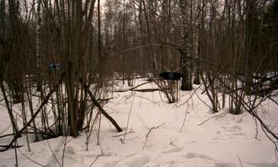 Collective action 83. Photo - 35