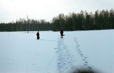 Collective action Description of Action. Photo - 24