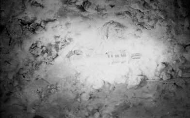 Collective action The Taxi. Photo - 4