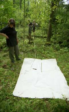 Collective action Library. Photo - 10