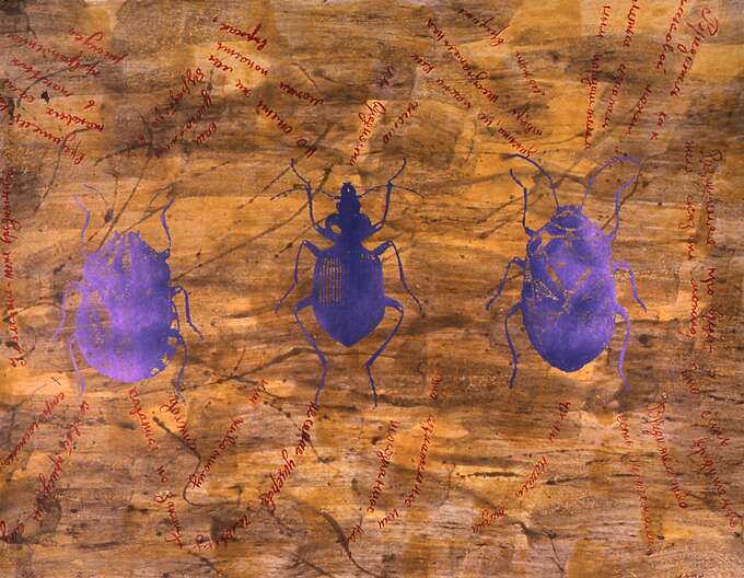 Елена Елагина. Насекомые