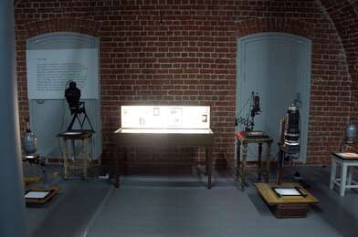 Homo Lignum. Photo - 11