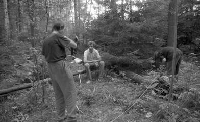 Collective action Library. Photo - 117