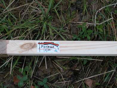 Акция КД Деревни. Фотография - 53