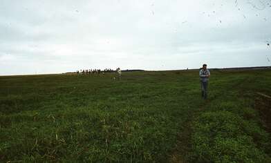 Collective action Second Picture. Photo - 4