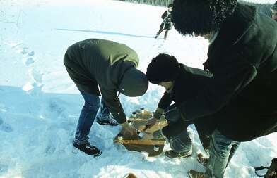 Акция КД 10 Появлений. Фотография - 7