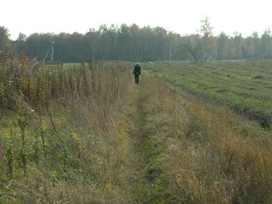 Акция КД Стенд-газета. Фотография - 30