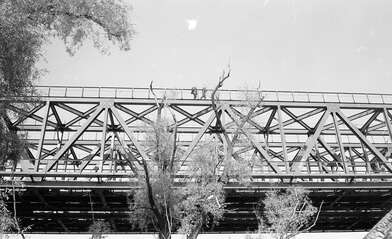 Collective action Likhoborka. Photo - 31