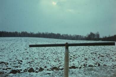 Акция КД Ворот. Фотография - 37