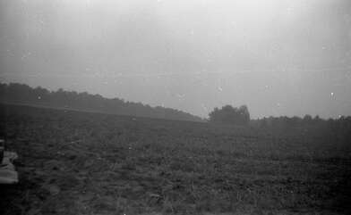 Collective action Moving of the Audience. Photo - 26