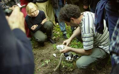 Collective action The Sack. Photo - 59