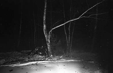 Collective action To Panitkov. Photo - 105