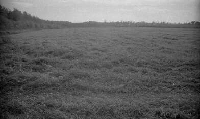 Акция КД Стенд-газета. Фотография - 38