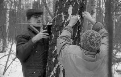 Collective action 83. Photo - 100