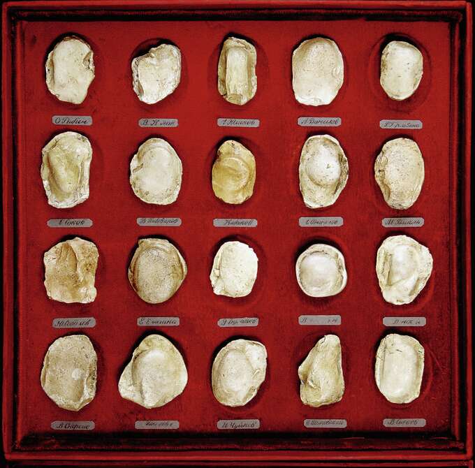 Игорь Макаревич. Картонный футляр с гипсовыми дактилоскопическими оттисками