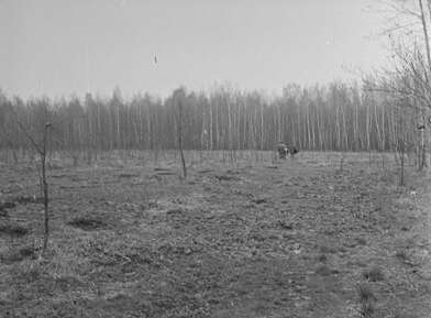 Акция КД Встреча. Фотография - 17