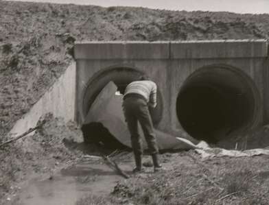 Акция КД Встреча. Фотография - 67