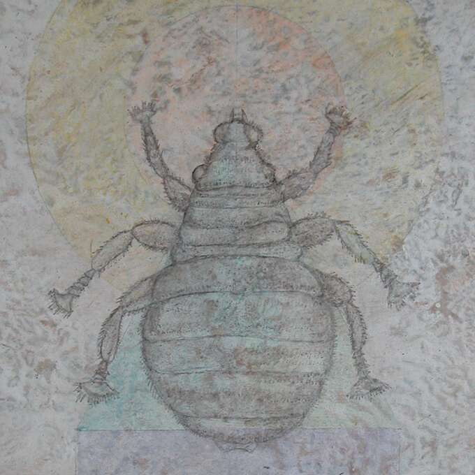 Елена Елагина. Серия «Карты Таро», 2004