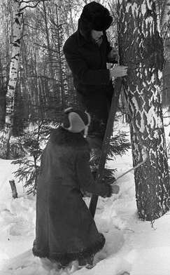 Collective action To Panitkov. Photo - 80