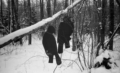 Collective action Negatives. Photo - 47