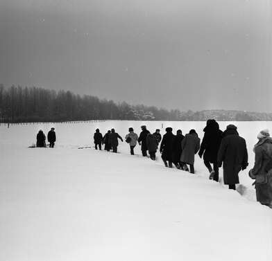 Collective action Sound Perspectives. Photo - 82