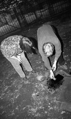 Collective action Library. Photo - 78