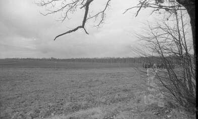 Collective action Image of a Rhombus. Photo - 3