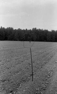 Акция КД Выстрел. Фотография - 59