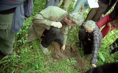 Collective action The Sack. Photo - 55