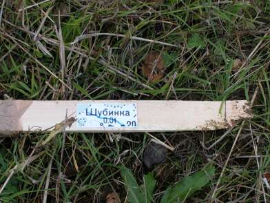 Акция КД Деревни. Фотография - 50