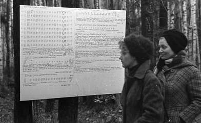 Collective action Place of Action. Photo - 106