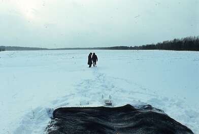 Collective action Sound Perspectives. Photo - 22