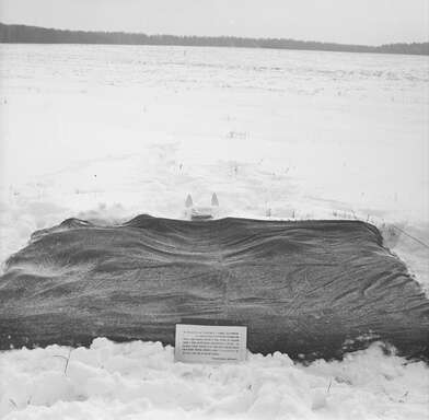 Collective action Sound Perspectives. Photo - 71