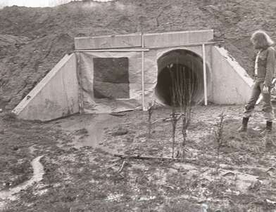 Акция КД Встреча. Фотография - 25