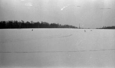 Collective action Description of Action. Photo - 15