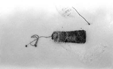 Акция КД За КД — 2. Фотография - 35