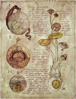 Елена Елагина. Работа Без названия