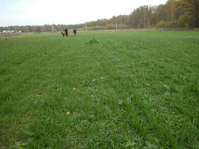 Акция КД Стенд-газета. Фотография - 11