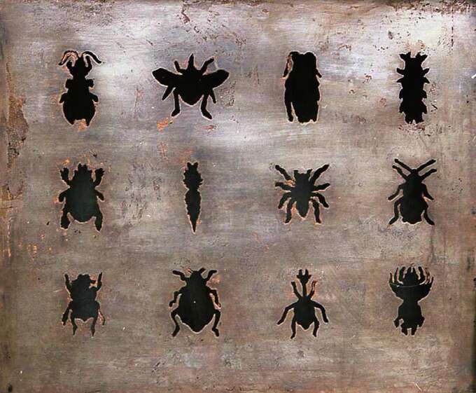 Елена Елагина. Железная муха